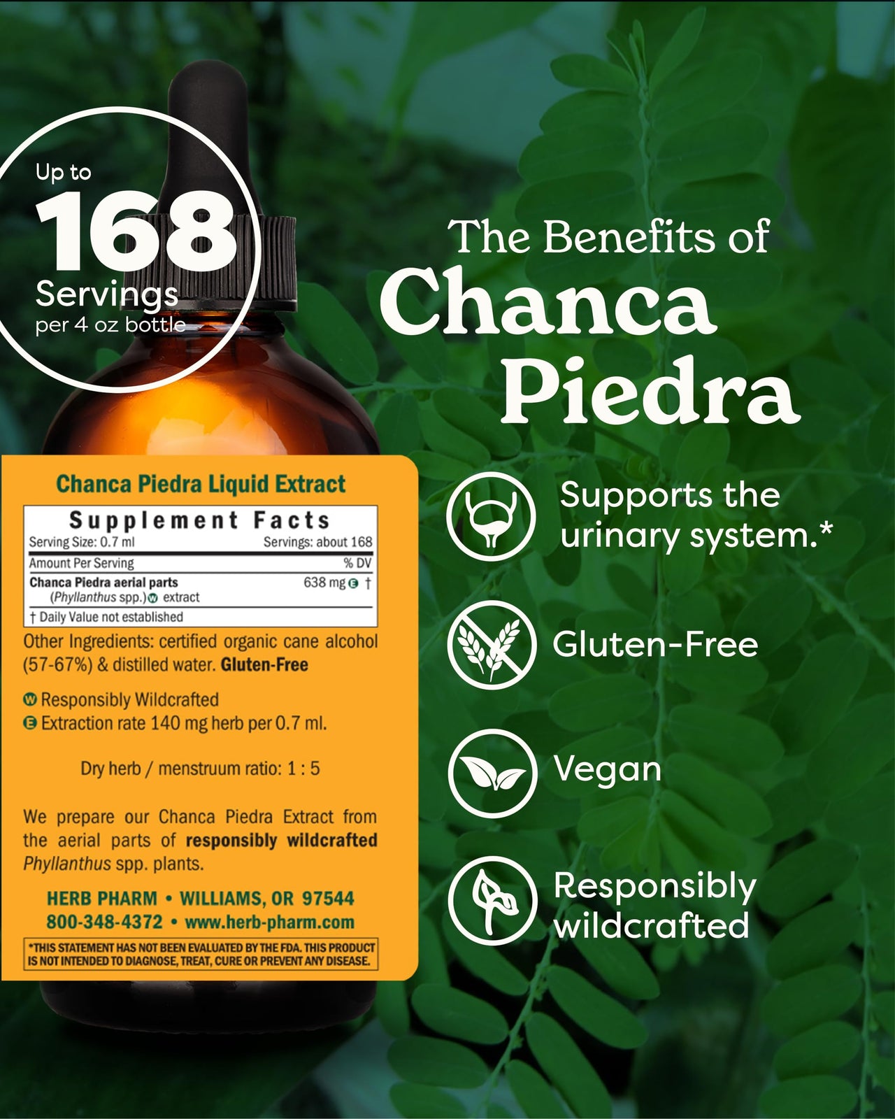 Herb Pharm Chanca Piedra Liquid Extract Drops for Urinary System Support, 4 Oz