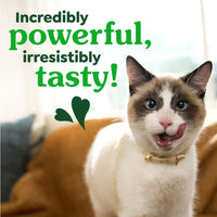 Thumbnail for Greenies Cat Treats, Veterinarian-Recommended Adult Natural Dental Cat Treats, Tempting Tuna Flavor, 21 oz. Tub