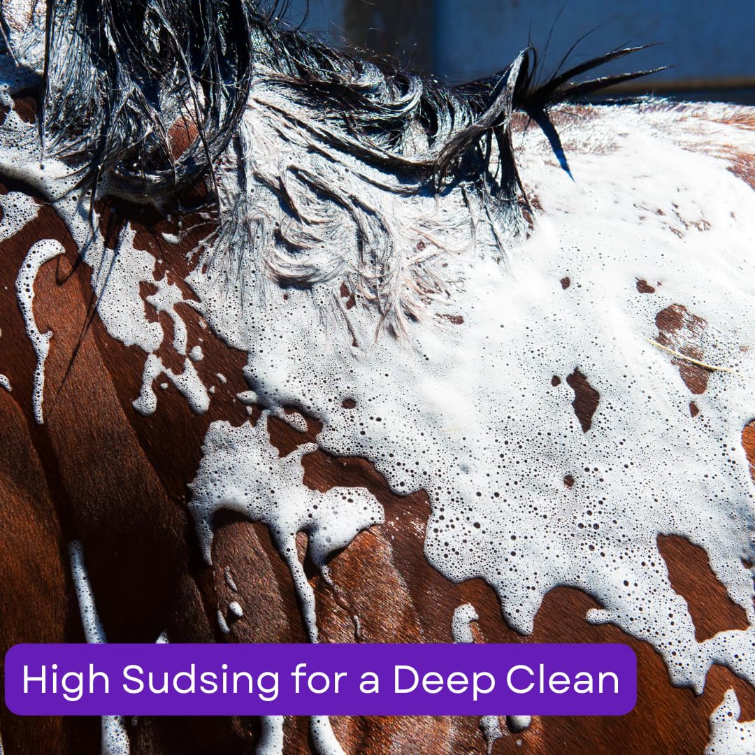 Corona Concentrated Horse Shampoo – Deep Cleaning Formula for Coat, Mane & Tail, 3 Liter | Removes Dirt & Sweat, Gentle on Skin, Rinses Easily