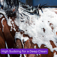 Thumbnail for Corona Concentrated Horse Shampoo – Deep Cleaning Formula for Coat, Mane & Tail, 3 Liter | Removes Dirt & Sweat, Gentle on Skin, Rinses Easily