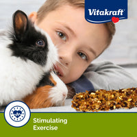 Thumbnail for Vitakraft Crunch Sticks Treat Variety Pack for Rabbits and Guinea Pigs with Triple-Baked Wood Chew Center Seeds Grains Honey and Fruit for Texture Flavor Enrichment and Long-Lasting Chewing Enjoyment