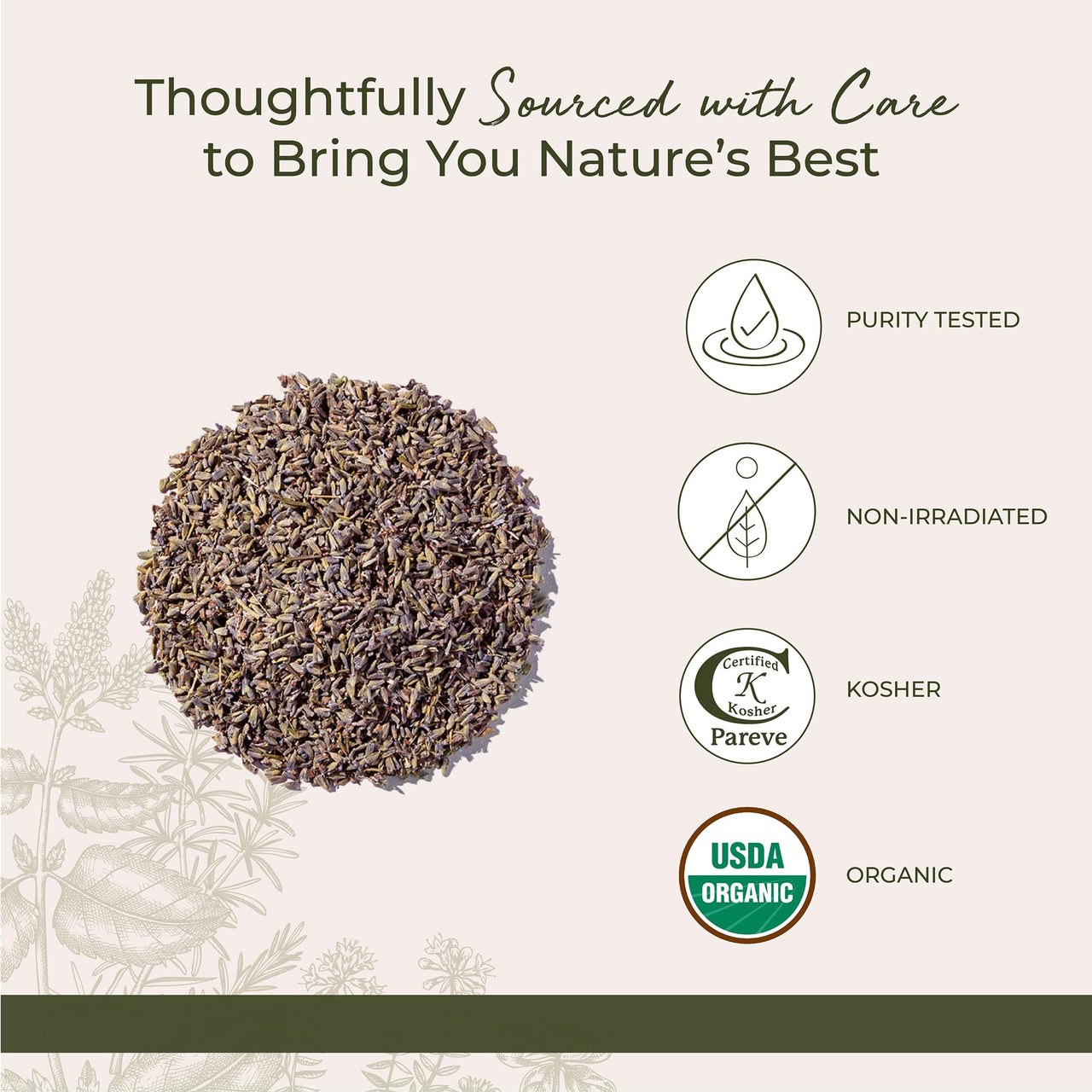 Starwest Botanicals Dried Lavender Flowers Extra Organic - Edible Loose Lavender Buds for Tea, Drinks, Baking, & Cooking, Certified Kosher Herb, Non-GMO - Bulk 1 lb Bag
