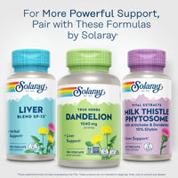Thumbnail for SOLARAY Dandelion Root Supplement - Healthy Kidney and Liver Support - 1,040 mg per Serving - Vegan, Lab Verified, 60-Day Guarantee - 90 Servings, 180 VegCaps