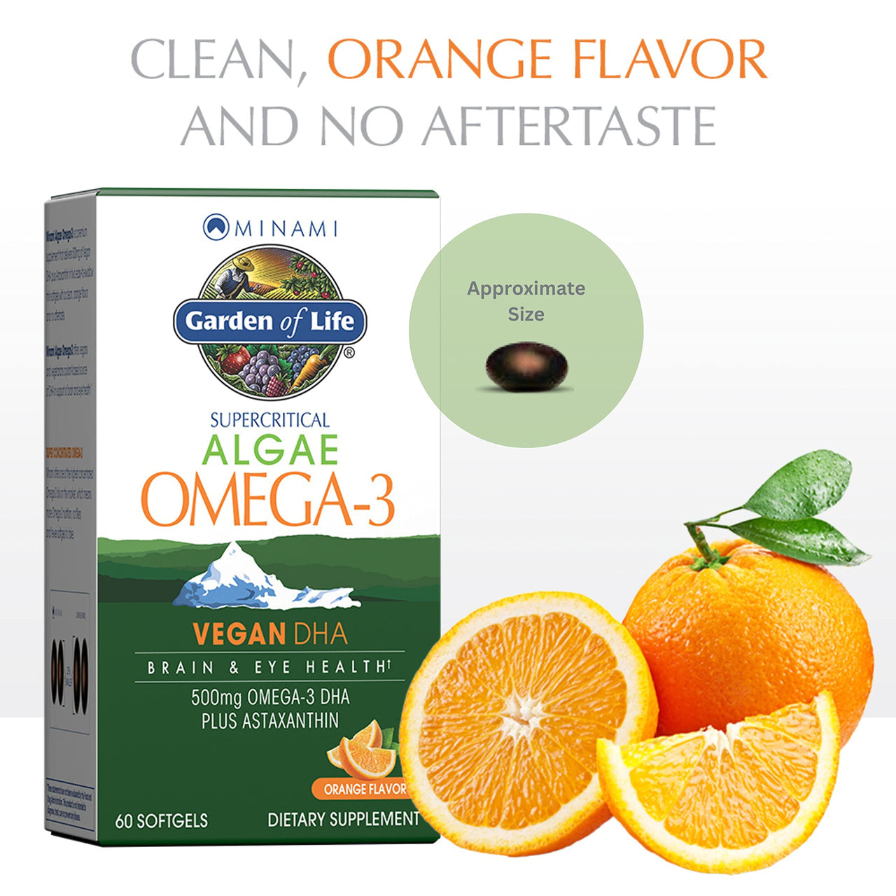 Garden of Life Minami Algae Omega 3 Vegan DHA for Brain and Eye Health - Orange Flavor, 500mg Plant Based DHA Omega-3 Vegan Algae Oil plus Astaxanthin, No aftertaste, 60 easy-to-swallow Mini Softgels