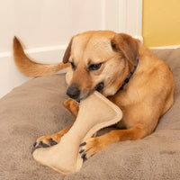 Thumbnail for SPOT Dura-Fused Leather Bone- Durable Dog Toy with Squeaker, Real Leather & Jute Fabric, Interactive Toy for Moderate & Aggressive Chewers, Medium & Large Dogs and Puppies, 9 inch