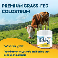 Thumbnail for Energievoll Bovine Colostrum Supplement Powder - 60% IgG 3000 mg for Gut, Hair Growth, Beauty, and Immune, Easy to Mix, Unflavored (50 Servings)
