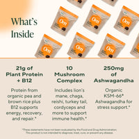 Thumbnail for OM MUSHROOM SUPERFOOD Master Blend Vegan Protein – Organic Chocolate Plant Protein with 10 Mushrooms, Ashwagandha, BCAAs & B12 – Energy, Recovery & Immune Support – 1.2 lb (16 Servings)