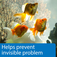Thumbnail for API 5-IN-1 TEST STRIPS Freshwater and Saltwater Aquarium Test Strips 4-Count Box