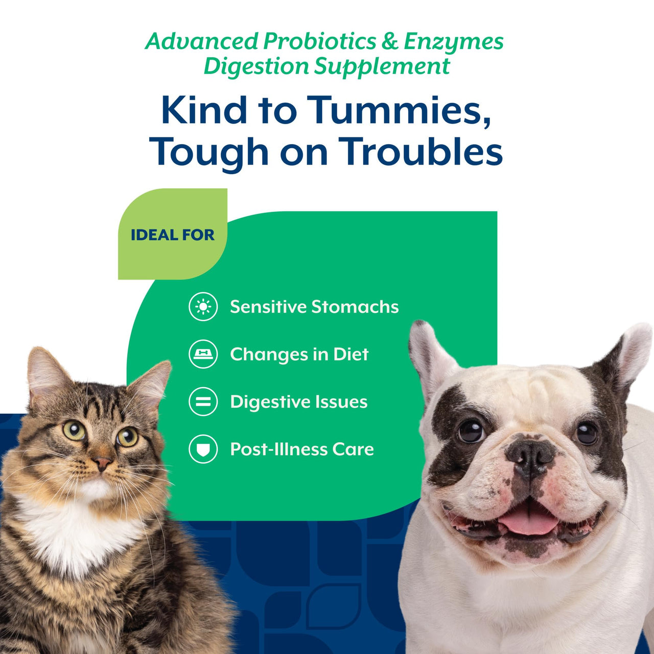 NaturVet – Advanced Probiotics & Enzymes - Plus Vet Strength PB6 Probiotic | Supports and Balances Pets with Sensitive Stomachs & Digestive Issues | for Dogs & Cats (8 oz)