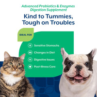 Thumbnail for NaturVet – Advanced Probiotics & Enzymes - Plus Vet Strength PB6 Probiotic | Supports and Balances Pets with Sensitive Stomachs & Digestive Issues | for Dogs & Cats (8 oz)