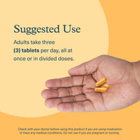 Thumbnail for Youtheory Turmeric - 450 mg - with Black Pepper & Olive Leaf - Supports Joint & Brain Health* - Contains Bioenhancers, Curcuminoids & Herbal Extracts - 120 Tablets (40-Day Supply)