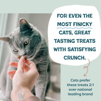 Thumbnail for Shameless Pets Crunchy Cat Treats - Kitty Treats for Cats with Skin & Coat Support, Natural Ingredients Kitten Treats with Real Salmon, Healthy Flavored Feline Snacks - Yam Good Salmon, 1-Pk