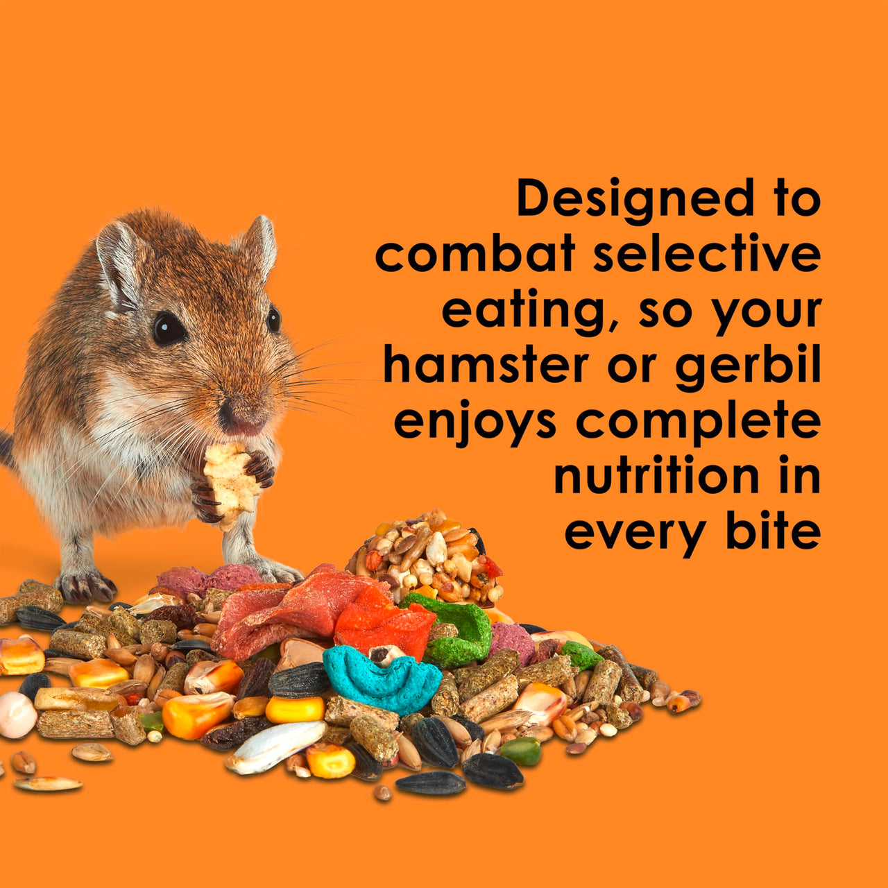 Kaytee Fiesta Hamster & Gerbil Food, Nutritious and Fun Blend, Supports Dental Health and Digestion, 4.5 pounds