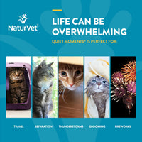 Thumbnail for NaturVet Scoopables Quiet Moments Cat Calming Aid - Promotes Calm with Stressful Events Storms, Fireworks, Travel, Separation Anxiety - Cat Health Supplement w/Melatonin - Salmon Flavored | 5.5oz Bag