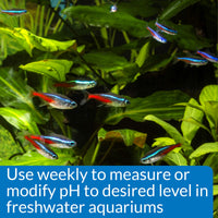 Thumbnail for API pH TEST & ADJUSTER KIT 250-Test Freshwater Aquarium Water pH Test and Adjuster Kit