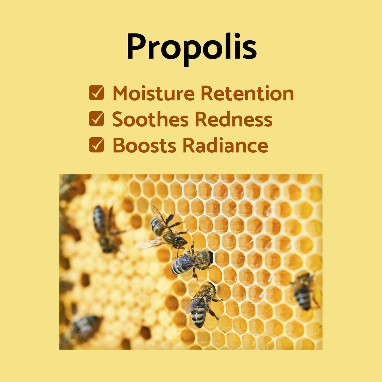 iUNIK Propolis Vitamin Eye Cream Set (Eye Cream 1.01 fl.oz. & Mini Serum 0.51 fl.oz.) - Featuring Propolis Extract, Buckthorn