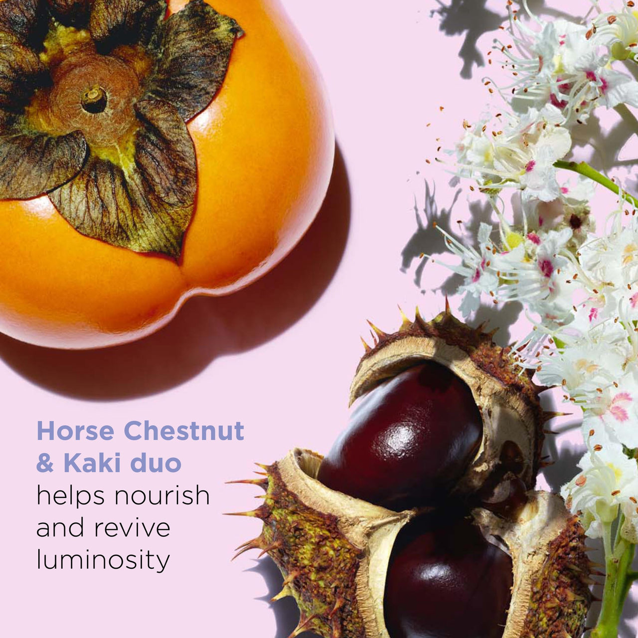 Clarins Nutri-Lumière Revive Day Cream | 2-In-1 Anti-Aging and Skin Tone Enhancing Moisturizer | Nourishes,Revitalizes and Illuminates Nutrient-Depleted,Mature Skin | Targets Sallowness | 1.7 Ounces