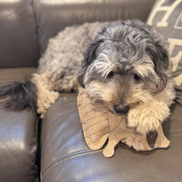 Thumbnail for SPOT Dura-Fused Leather Raccoon Dog Toy – Real Leather & Jute Fabric, Double-Stitched & Durable, Squeaky Interactive Chew Toy for Moderate Chewers, Small & Medium Dogs, Soft Stuffed Fetch Toy, 7.25in
