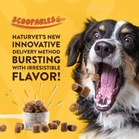 Thumbnail for NaturVet Scoopables All-in-One Multivitamin for Dogs - Dog Vitamins and Supplements for Joint Support, Digestion, Skin & Coat Care & Immune - Hickory Smoked Bacon Flavor Vitamin Supplement | 11oz Bag