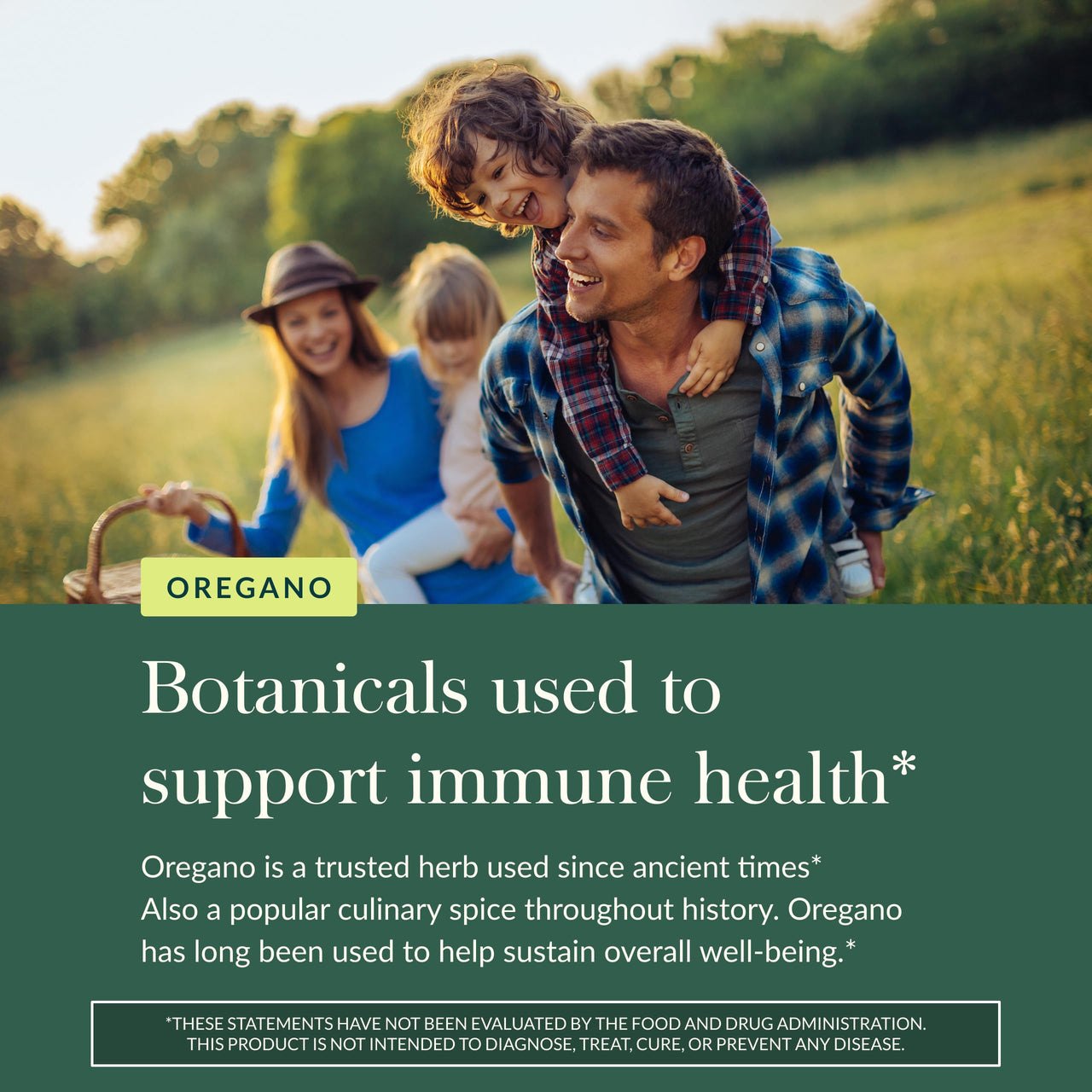 Gaia Herbs Oil of Oregano - Immune & Antioxidant Support Supplement - with Oregano Oil, Carvacrol & Thymol* - 60 Vegan Liquid Phyto-Caps (60 Servings)