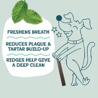 Thumbnail for Shameless Pets Blueberry & Mint Dental Chews for Dogs, 8 Chews - Natural Dog Teeth Cleaning Treats with Fresh Breath Benefits | Grain-Free Dental Sticks for Small, Medium & Large Dogs