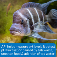 Thumbnail for API HIGH RANGE PH TEST KIT 160-Test Freshwater and Saltwater Aquarium Water Test Kit