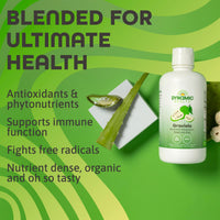 Thumbnail for Dynamic Health Graviola Blend, Mangosteen, Nopal and Aloe, 100% Organic, No Additives, Immune System Support, Antioxidant, Vegan, Gluten Free, Non-GMO, 32 Fl oz
