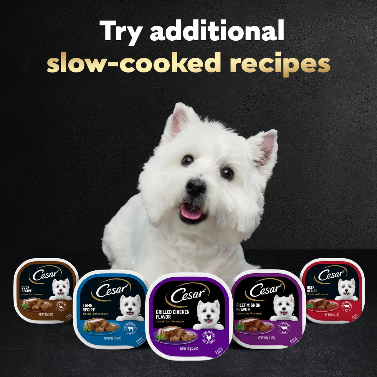 Cesar Classic Loaf in Sauce Adult Wet Dog Food Lamb Recipe, 3.5 oz Easy Peel Trays, 24 Count