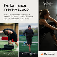 Thumbnail for Momentous Creatine Monohydrate Powder - Creatine Powder - Supports Strength, Lean Muscle, & Recovery for Men & Women - NSF Certified for Sport - 5 g per Serving - 90 Servings