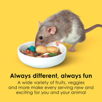 Thumbnail for Kaytee Fiesta Mouse & Rat Food, Nutritious and Fun Blend, Supports Dental Health and Digestion, 4.5 pounds