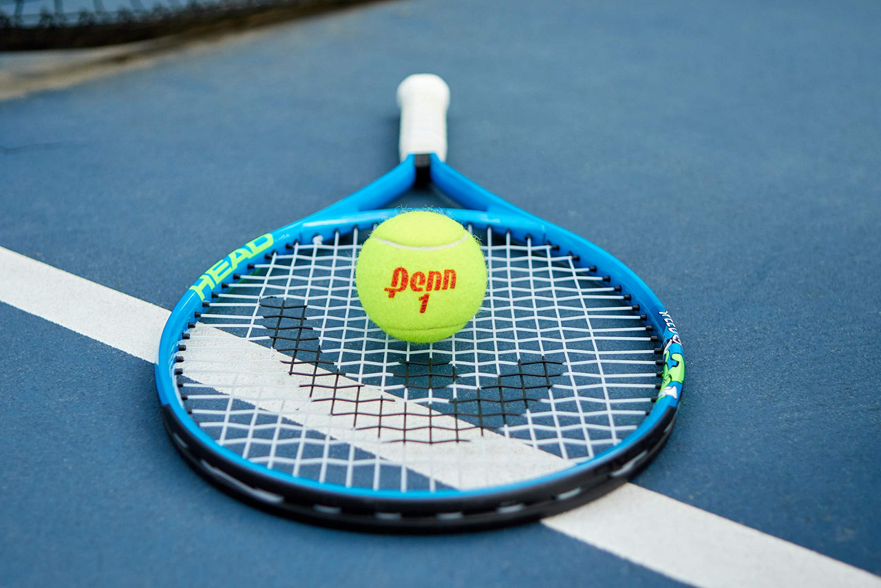 Penn Championship Tennis Balls - Regular Duty Felt Pressurized Tennis Balls - 1 Can, 3 Balls