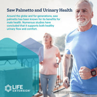 Thumbnail for Life Extension PalmettoGuard Saw Palmetto & Beta-Sitosterol – Supports Healthy Prostate Function & Hormone Metabolism Health – Supplements for Men - Gluten-Free, Non-GMO – 30 softgels
