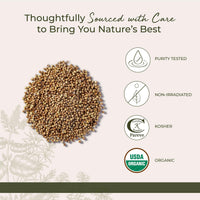 Thumbnail for Starwest Botanicals Organic Coriander Seeds Whole - Seasoning Spice for Cooking, Pickling, Curry, & More, Dried Whole Seeds from the Cilantro Plant, Certified Kosher, Non-GMO - Bulk 1 lb Bag
