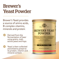 Thumbnail for Solgar Yeast Powder, 14 oz