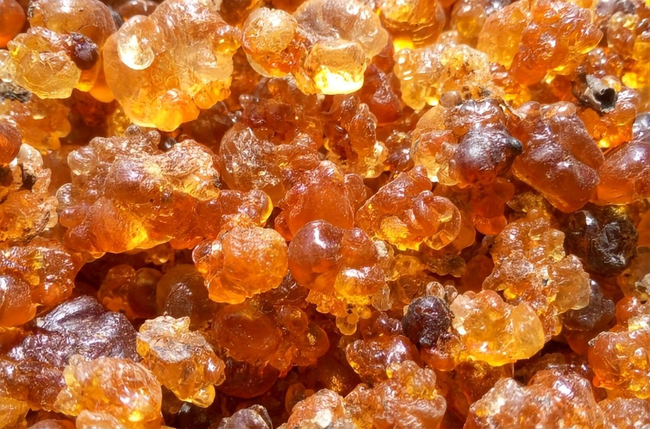 Wild Natural Tao Jiao Peach Resin Gum 1 LB