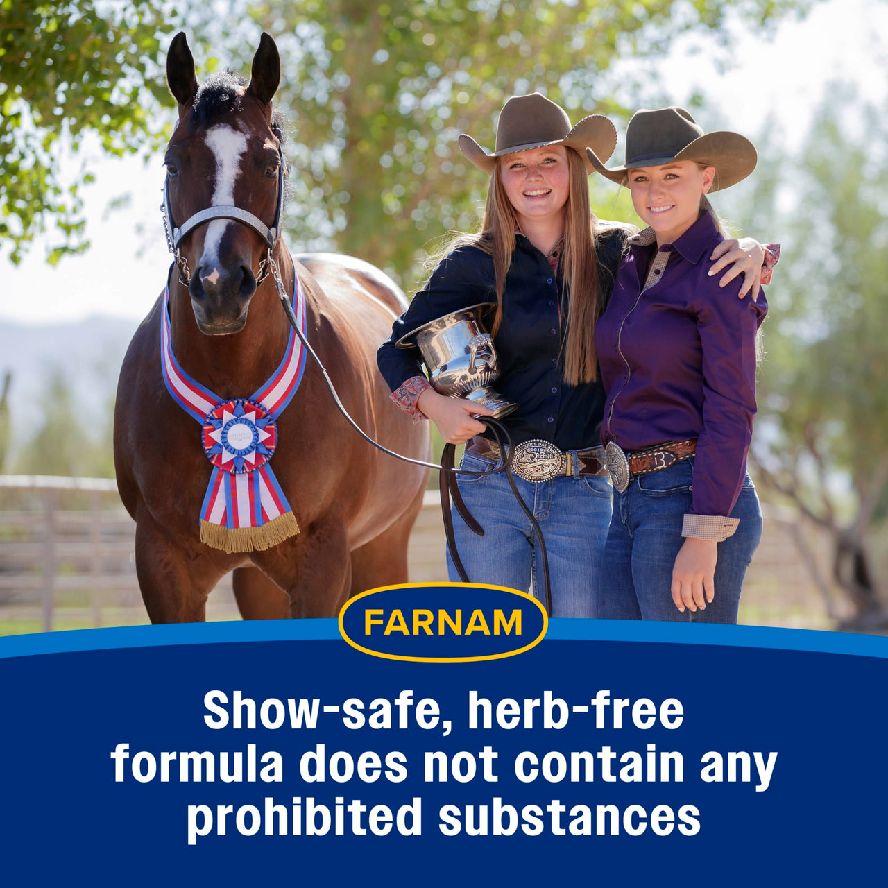 Farnam Quietex Show Calming & Focusing Paste for Horses, 30 cc Syringe, Show Safe Horse Calm Magnesium Supplement Paste, Help Manage Nervous Behavior, Focus, Keep Calm, Relaxed & Composed