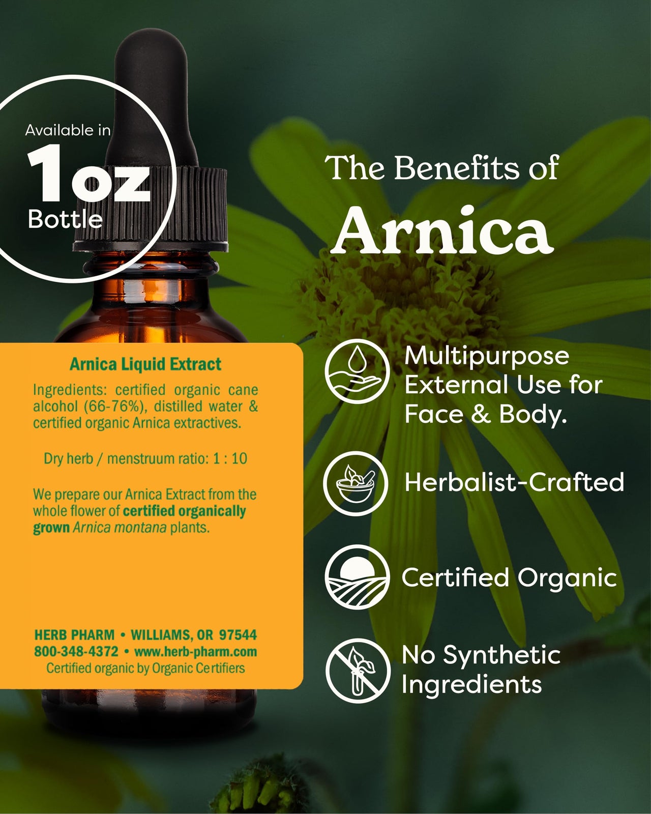 Herb Pharm Certified Organic Arnica Liquid Extract for Minor Pain Support, 1 Fl Oz
