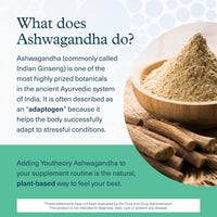 Thumbnail for Youtheory Ashwagandha + GABA - Adaptogenic Blend with Organic KSM-66 & Ginger - Aids Stress Relief & Mood* - Supports Energy Levels* - 60 Vegetarian Capsules (30-Day Supply)*