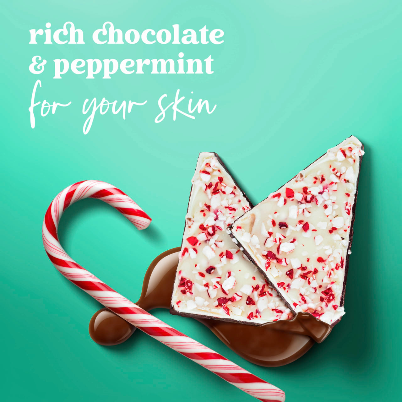 Dove Limited Edition Holiday Treats Body Wash Peppermint Bark for Deep Nourishment 20 oz (Pack of 2)