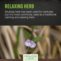 Thumbnail for Frontier Co-op Organic Scullcap Herb Cut & Sifted Certified Organic Herbal Supplement 1lb - Skullcap Herb for Tincture, Tea, Supplement