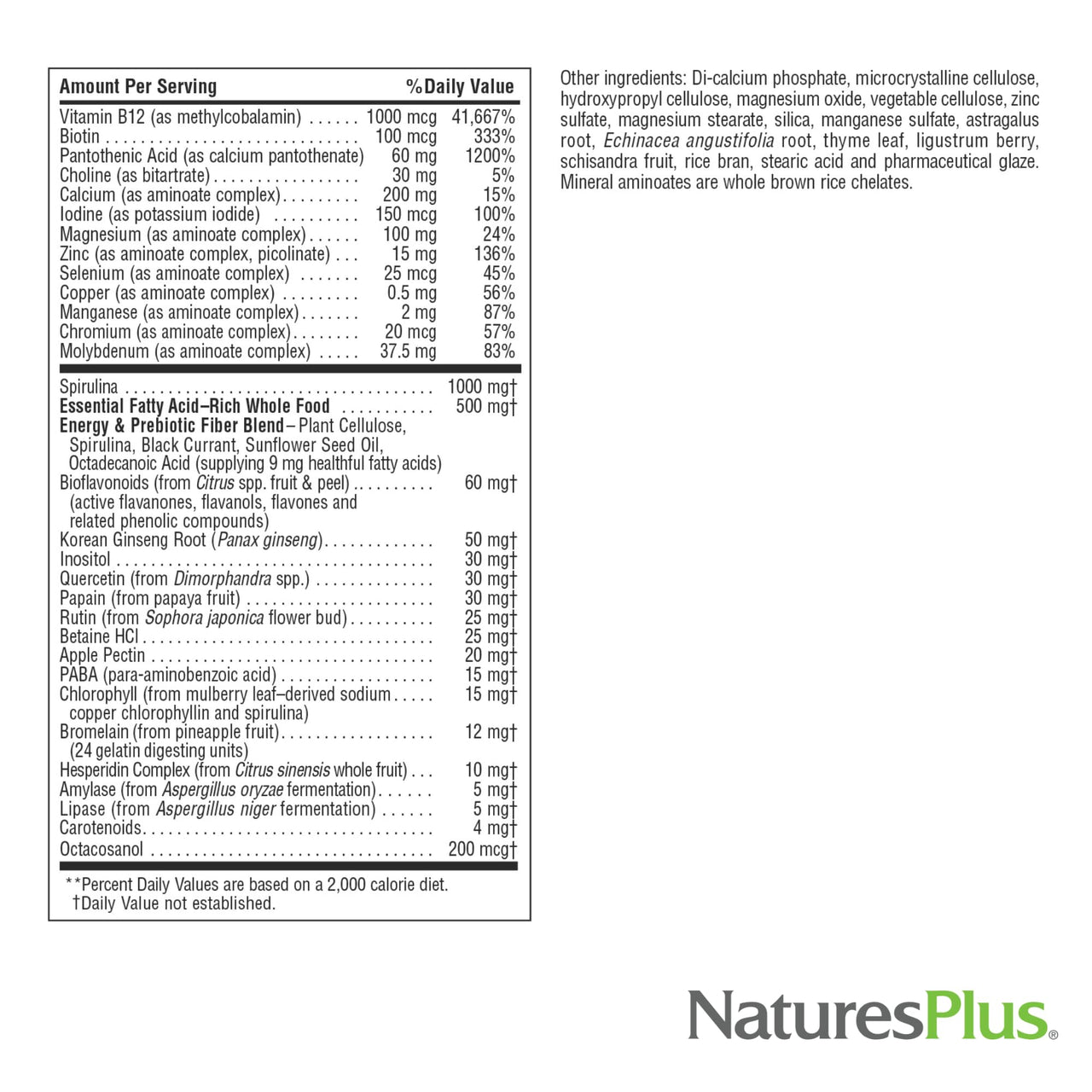 NaturesPlus Source of Life No Iron - 180 Mini-Tabs - Multivitamin & Mineral Supplement - Supports Natural Energy & Overall Well-Being - Gluten Free, Vegetarian - 30 Servings