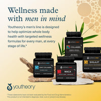 Thumbnail for Youtheory Men’s Shilajit - Shilajit Capsules with PrimaVie Extract - Supports Stress Relief, Muscle Growth & Bone Health - Compatible with Vegan Diet - 60 Capsules (60-Day Supply)