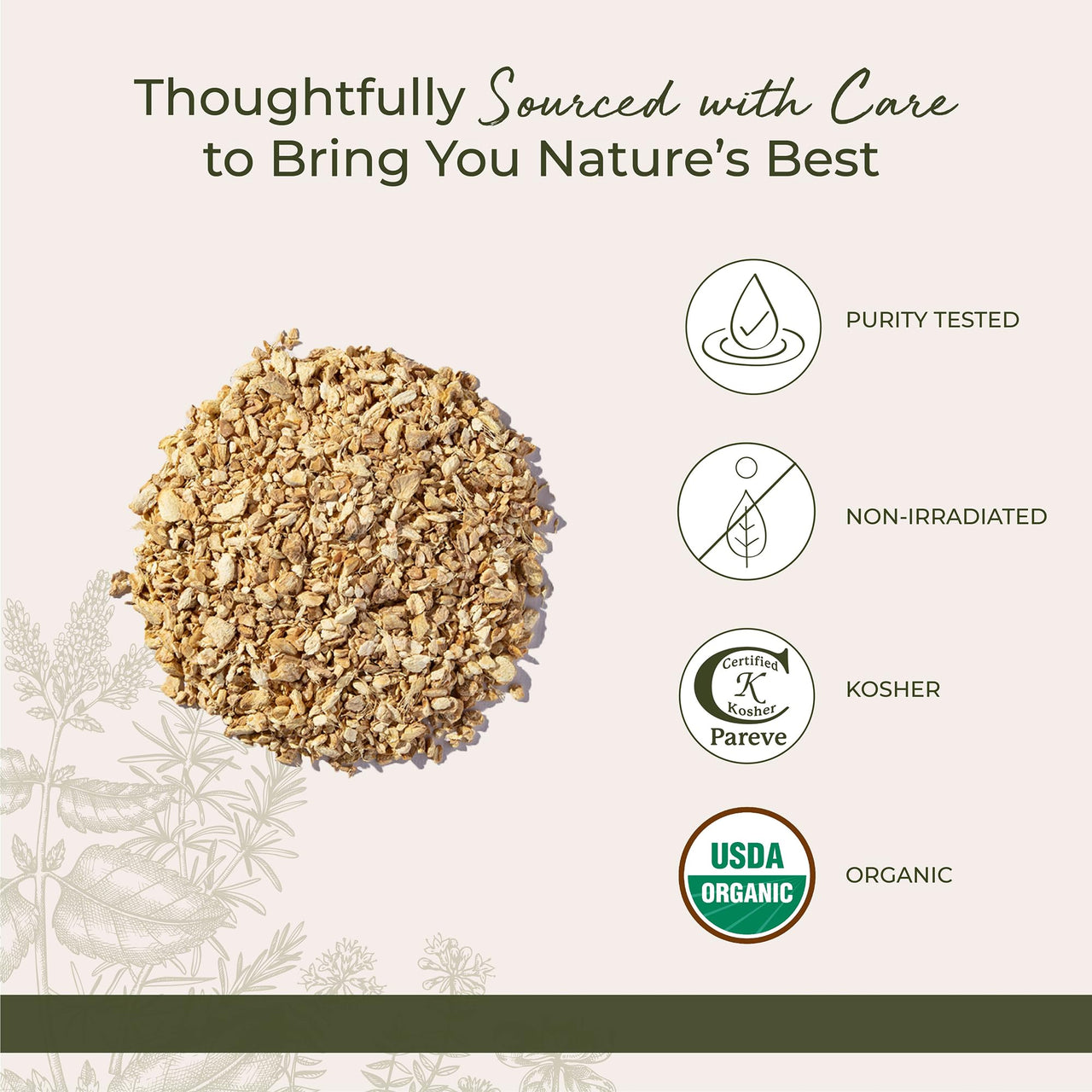 Starwest Botanicals Organic Ginger Root - Dried Ginger Herb for Tea, Baking, & Cooking, Cut and Sifted, Natural Herbal Spice, Certified Kosher, Non-GMO - Bulk 1 lb Bag