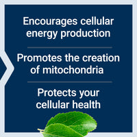 Thumbnail for Life Extension Mitochondrial Energy Optimizer with PQQ - Energy Supplement for Healthy Mitochondria - With Taurine, Vitamin B, Pyrroloquinoline Quinone - Gluten-Free, Non-GMO - 120 Vegetarian Capsules