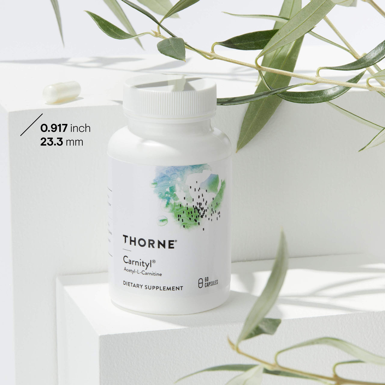 THORNE - Antioxidant Nerve Support Duo - Alpha-Lipoic Acid & Acetyl-L-Carnitine Bundle - 60 Servings