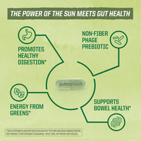 Thumbnail for Sunwarrior Probiotics Soil-based Vegan Capsules | 10 billion CFU for Digestion Soy Free Gluten Free Dairy Free | 30 CT