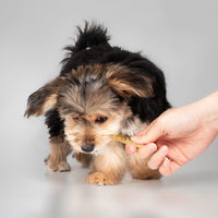 Thumbnail for Fieldcrest Farms Nothin' to Hide Twist Stix, Peanut Butter Flavor, Easily Digestible, Supports Skin, Coat, Joints & Muscles, for Moderate Chewers Under 15lbs, 10 Pieces