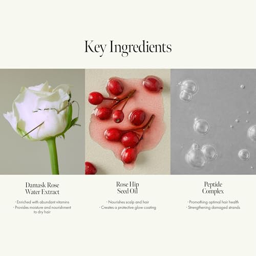 Image 5 of ANILLO Rosy Night Complete Hair Repair Care Set: Essence, Shampoo & Ampoule Treatment Bundle for Damage Repair - Damask Rose, Musky Floral Scent, Silicone Free (1.69oz.22oz.76oz)