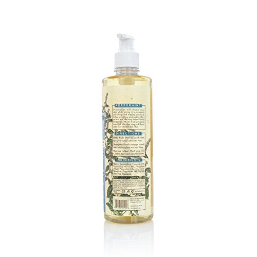 Image 2 of DR.JACOBS NATURALS Castile Face and Body Wash Soap with Pump Dispenser, Peppermint, 16 oz.