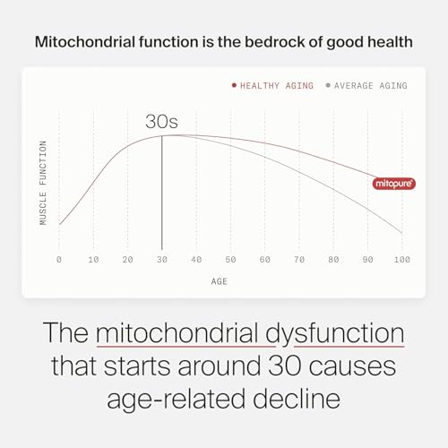 Image 6 of Timeline Mitopure Urolithin A Supplement Powder 500 MG